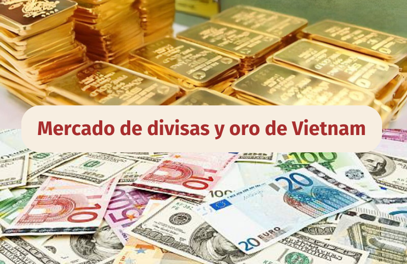 Infografía: Mercado de divisas y oro de Vietnam - 31 de mayo de 2024 