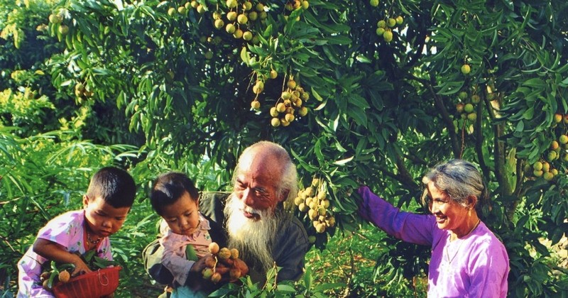  Resaltan valores tradicionales de familia vietnamita 
