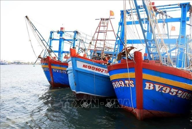 En la provincia de Kien Giang se han puesto en marcha una serie de soluciones para luchar contra la pesca ilegal. (Foto: VNA)