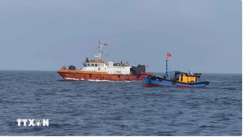 Fuerzas pertinentes de Vietnam realiza control de barcos pesqueros en el mar. (Fuente: VNA)
