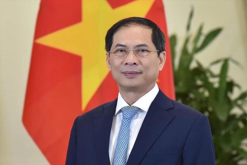 El ministro de Relaciones Exteriores, Bui Thanh Son. (Fuente: VNA)