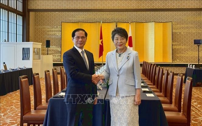 El ministro de Relaciones Exteriores de Vietnam, Bui Thanh Son, y su homóloga japonesa, Kamikawa Yoko. (Fuente: VNA)