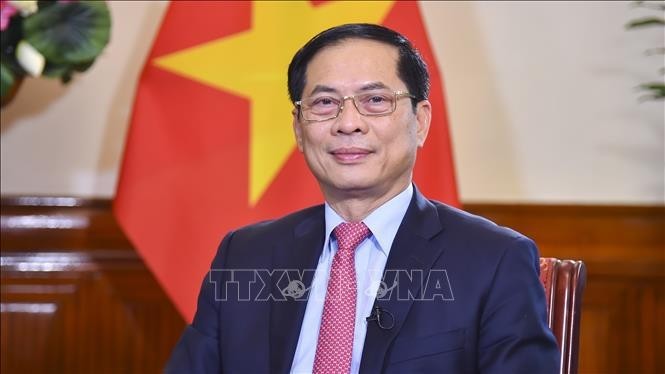 El viceprimer ministro y canciller vietnamita, Bui Thanh Son. (Fuente: VNA)