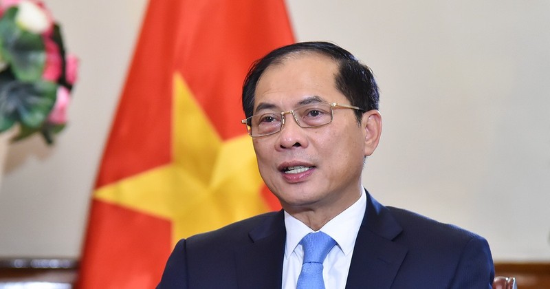 El viceprimer ministro y canciller vietnamita, Bui Thanh Son (Fuente: VNA)