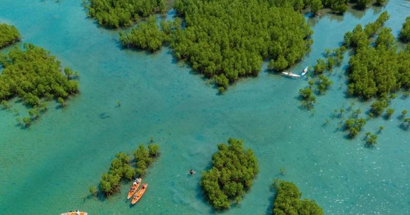 El área de Dam Bay. (Fuente: VNA)