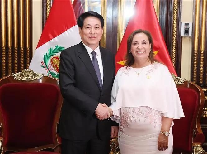 La presidenta de Perú, Dina Ercilia Boluarte Zegarra, y su homólogo vietnamita, Luong Cuong. (Fuente: VNA)