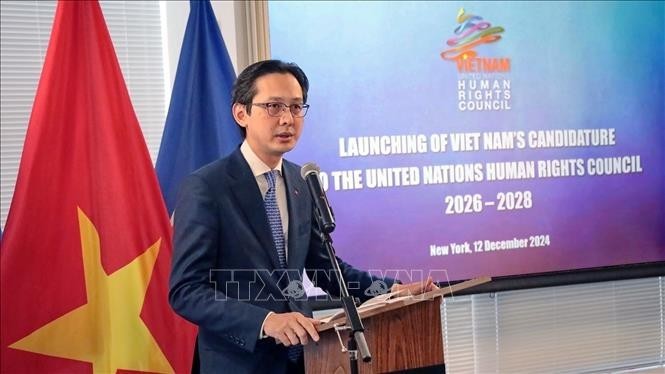 El viceministro de Relaciones Exteriores vietnamita Do Hung Viet en la ceremonia (Fuente: VNA)