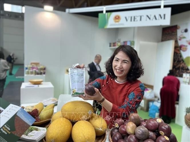 Presentación de productos agrícolas vietnamitas en la Feria de Macfrut en la Ciudad de Rimini, de la región Emilia-Romagna. (Fuente: VNA)