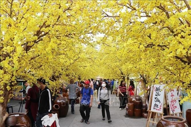 La calle de los albaricoqueros es un lugar de registro favorito para muchos visitantes. (Fotografía: VNA)