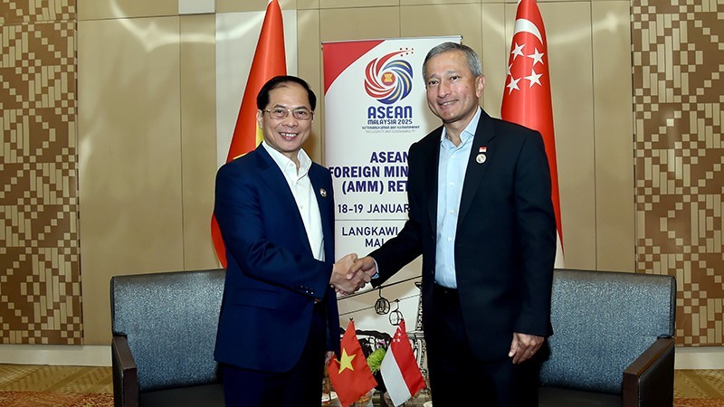 El vice primer ministro y titular de Relaciones Exteriores de Vietnam, Bui Thanh Son (izquierda), y el ministro de Relaciones Exteriores de Singapur, Vivian Balakrishnan. (Fotografía: Ministerio de Relaciones Exteriores de Vietnam)