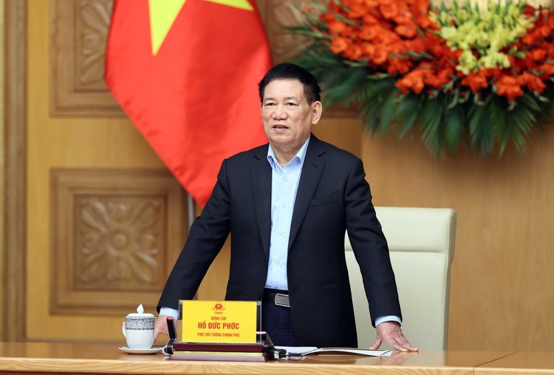 El vice primer ministro vietnamita Ho Duc Phoc habla en la reunión. (Fotografía: VGP)