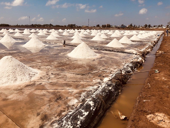 Una salina en la provincia de Bac Lieu. (Fotografía: nld.com.vn)