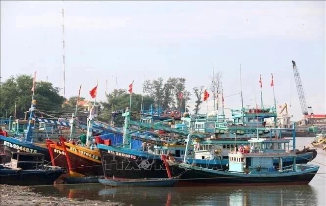 Las autoridades de la provincia de Ben Tre, en el Delta del Mekong, han instado a las agencias y localidades a implementar con urgencia medidas estrictas contra la pesca ilegal, no declarada y no reglamentada. (Fotografía: VNA)