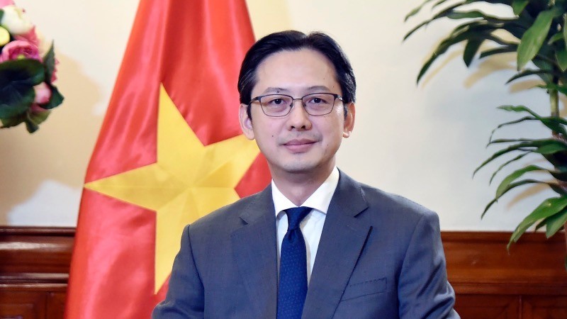 El viceministro de Relaciones Exteriores de Vietnam Do Hung Viet. (Fotografía: Ministerio de Relaciones Exteriores de Vietnam)