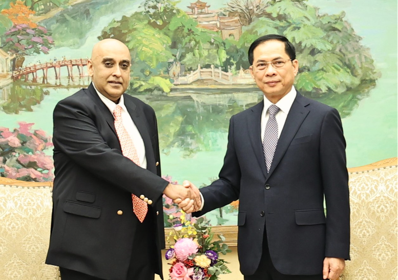 El viceprimer ministro y canciller vietnamita, Bui Thanh Son, y Ali Ijaz Ahmad, presidente del Grupo Makara Capital. (Foto: VPG)