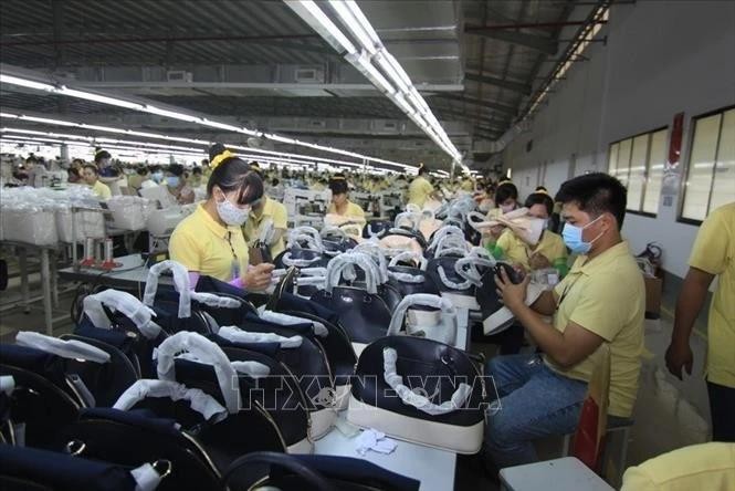 Los productos vietnamitas con ventajas competitivas en el mercado suizo incluyen calzados y bolsos (Foto: VNA)