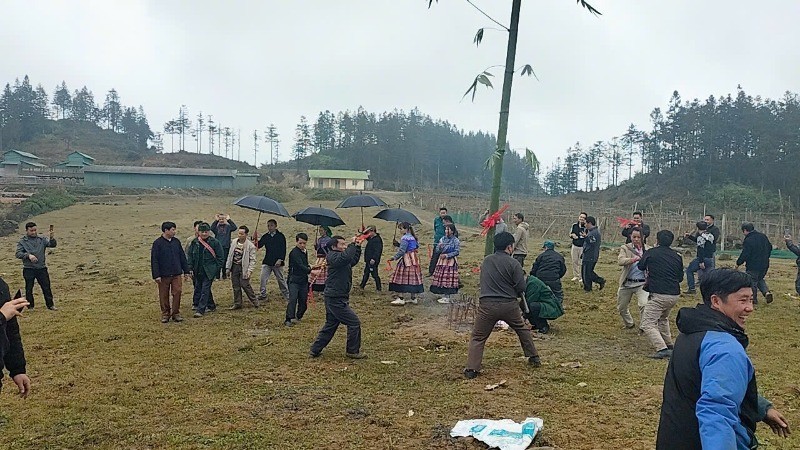 Costumbre de levantamiento de Cay Neu en el festival de Gau Tao, en la aldea de Ta Chai, comuna de Lung Phinh, distrito de Bac Ha.