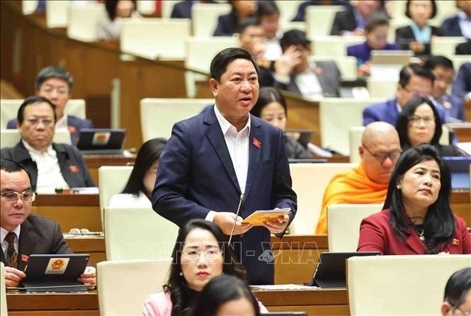 El delegado Tran Quoc Nam, jefe de la delegación parlamentaria de la provincia de Ninh Thuan (Foto: VNA)