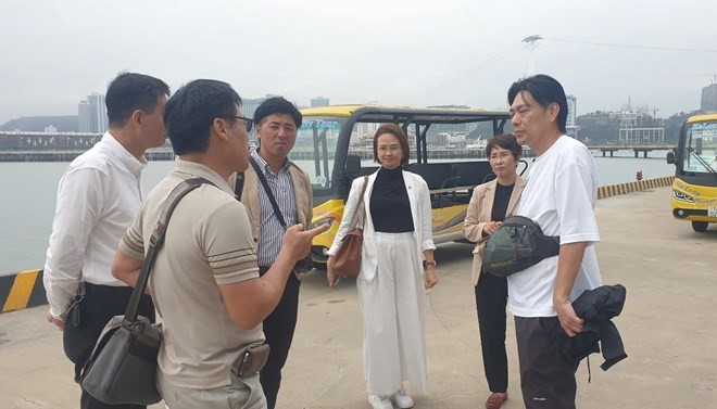 Representantes de Peace Boat (Japón) y unidades relacionadas inspeccionaron los preparativos. (Foto: https://laodong.vn/)