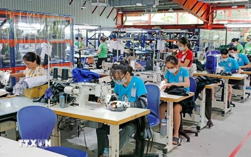 La industria de la confección contribuirá en gran parte al crecimiento económico de Vietnam. (Foto: VNA)