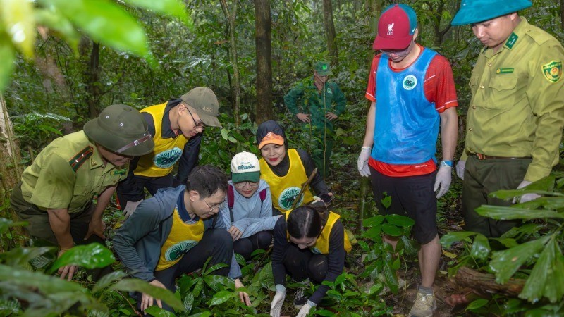 Gestionar y utilizar de forma sostenible los recursos naturales, proteger el medio ambiente y la biodiversidad para fomentar un turismo duradero son objetivos clave de la Estrategia de Desarrollo Turístico de Vietnam hasta 2030. (Foto: Nhan Dan)