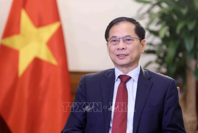 El vicepremier y ministro de Relaciones Exteriores de Vietnam, Bui Thanh Son (Foto: VNA)