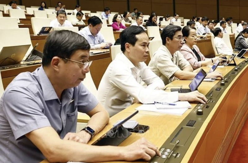 Delegados de la Asamblea Nacional votan para aprobar la Resolución. (Foto: VNA)