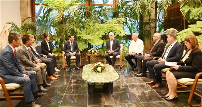 En una audiencia entre el Presidente de Cuba, Miguel Díaz-Canel Bermúdez y el viceministro Do Xuan Tuyen (Foto: VNA)