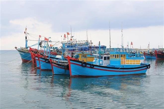 Los barcos pesqueros (Foto: VNA)