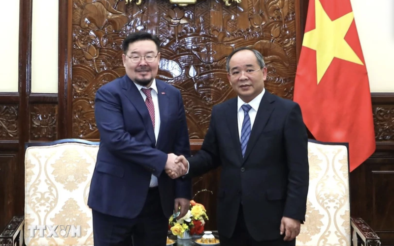 El jefe de la Oficina Presidencial de Vietnam, Le Khanh Hai (derecha), y su homólogo de Mongolia, Gombojav Zandanshatar. (Foto: VNA)