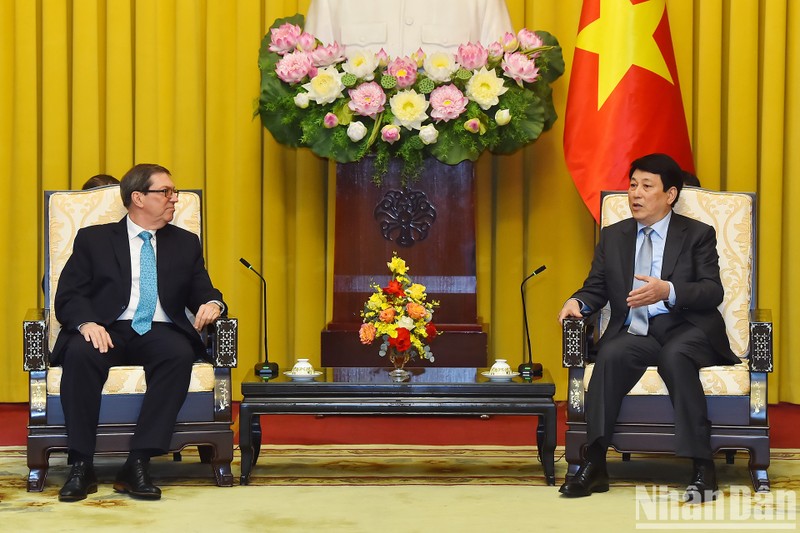 El presidente vietnamita, Luong Cuong, recibe al ministro de Relaciones Exteriores de Cuba, Bruno Rodríguez Parrilla. (Foto: Nhan Dan)