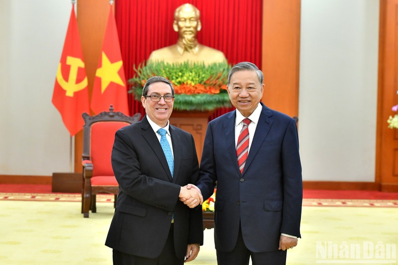 El secretario general del Partido Comunista de Vietnam, To Lam, recibe al ministro de Relaciones Exteriores de Cuba, Bruno Rodríguez Parrilla. (Foto: Nhan Dan)