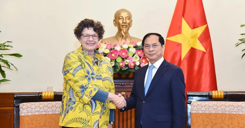 El viceprimer ministro y titular de Relaciones Exteriores, Bui Thanh Son, recibe a la embajadora de Alemania en Vietnam, Helga Margarete. (Foto: VNA)