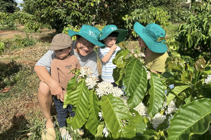 Exploran plantaciones de café especiales en provincia vietnamita de Dak Lak (Foto: VOV)