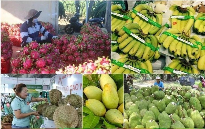 Las exportaciones agrícolas de Vietnam alcanzaron 9,38 mil millones de dólares en los primeros dos meses del año (Foto: VNA)