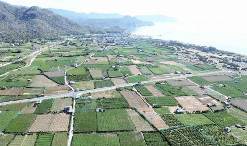 El proyecto de la planta de energía nuclear Ninh Thuan 2 se construirá en la aldea de Thai An, comuna de Vinh Hai, distrito de Ninh Hai. (Foto: VNA)