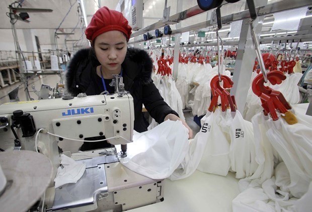 Las exportaciones de Vietnam a los mercados del norte de Europa durante el período 2020-2022 crecieron 14,7 por ciento cada año. (Foto: VNA)