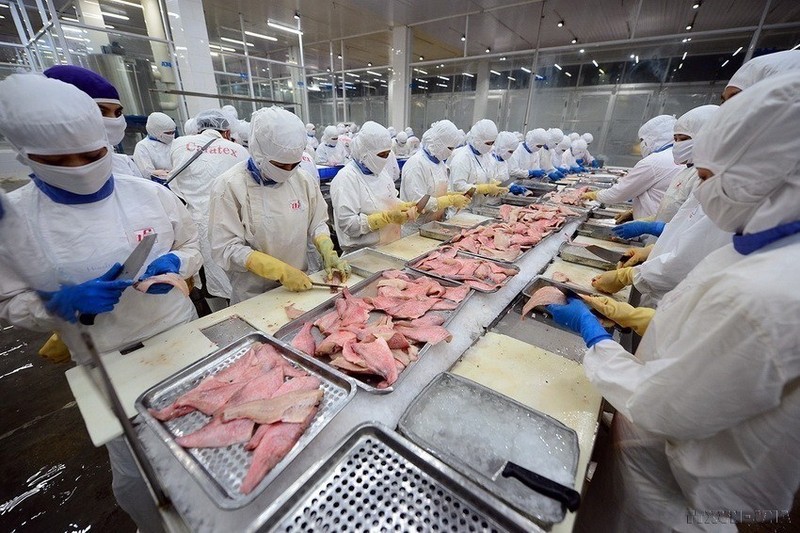 La economía y el comercio son un punto destacado y también un pilar prioritario de la asociación estratégica entre ambas naciones. Los productos vietnamitas con ventajas para exportarse mercado británico incluyen pescados y mariscos. (Foto: VNA)