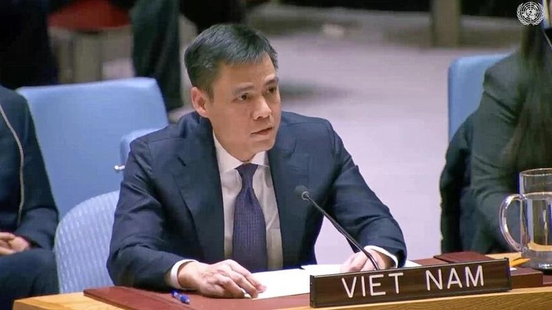 El representante permanente de Vietnam ante Naciones Unidas, el embajador Dang Hoang Giang. (Foto: VNA)