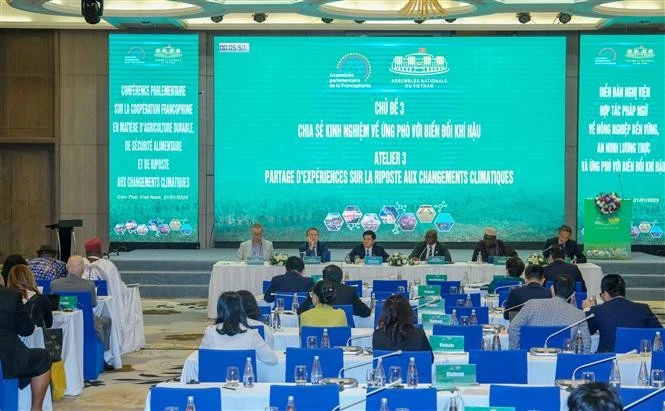 En el debate sobre el intercambio de experiencias en la respuesta al cambio climático. (Foto: VNA)