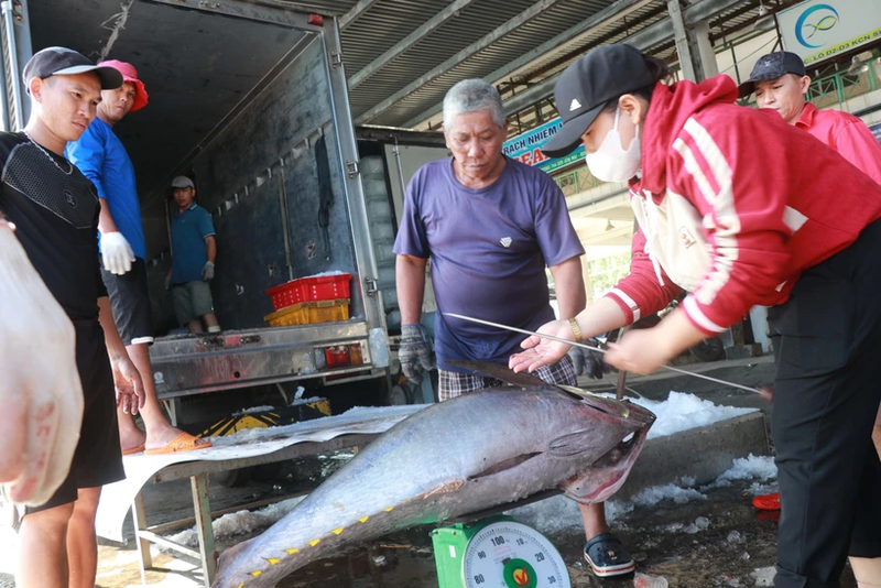 Pesca de tuna en la provincia de Khanh Hoa. (Foto: VNA)