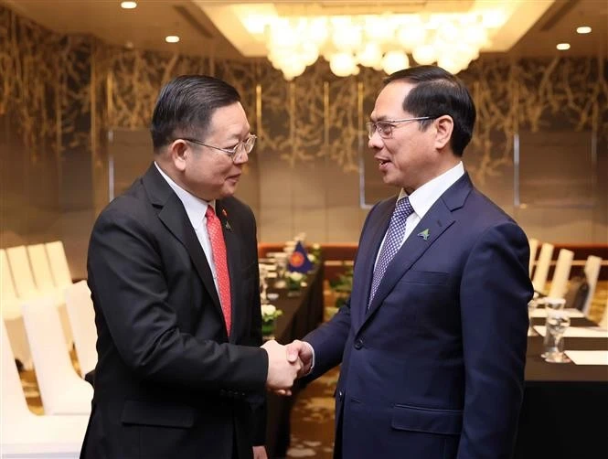 El vicepremier y canciller vietnamita, Bui Thanh Son, se reúne con el secretario general de la Asean, Kao Kim Hourn. (Foto: VNA)