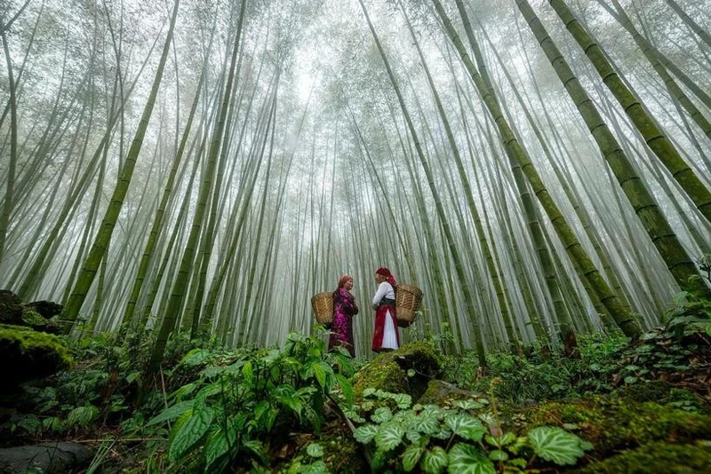 El turismo de Vietnam se centrará en el desarrollo sostenible y creativo, sobre la base del crecimiento verde, imbuido de la identidad cultural vietnamita. (Foto: VNA)