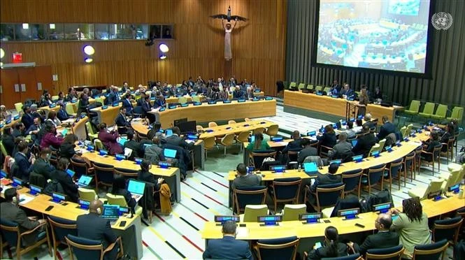 Panorama de la tercera reunión de los Estados Partes en el Tratado sobre la Prohibición de las Armas Nucleares. (Foto: VNA)