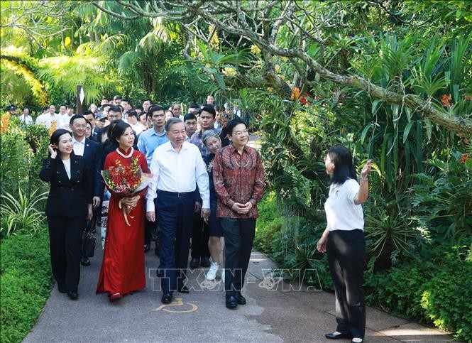 El secretario general del PCV, To Lam (al frente, en el centro), su esposa, Ngo Phuong Ly (al frente, a la izquierda), y el primer ministro singapurense, Lawrence Wong, recorren el Jardín Botánico de Singapur. (Foto: VNA)