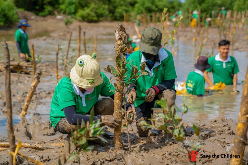 Forestación en el distrito de Nam Can, en Ca Mau. (Foto: thoidai.com.vn)