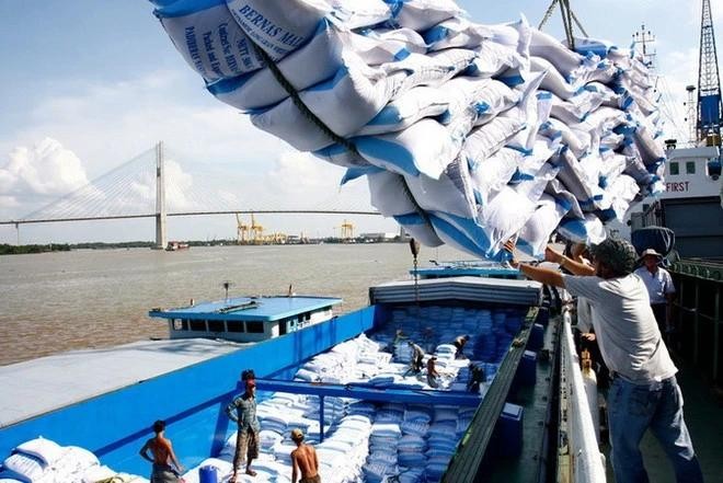 Carga y descarga de arroz para exportación en el puerto de Saigón. (Foto: VNA)