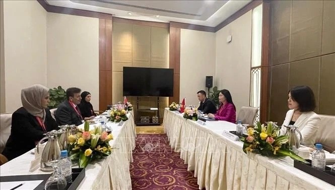 La delegación vietnamita sostiene una reunión bilateral con representantes de los Emiratos Árabes Unidos. (Foto: VNA)