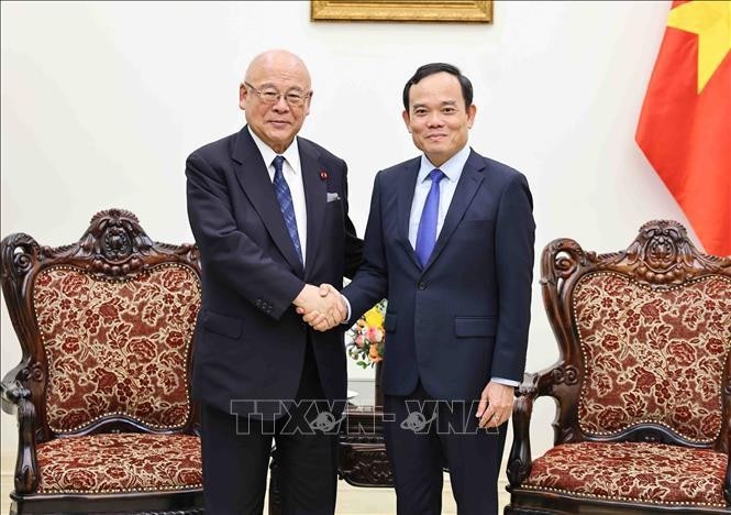 El viceprimer ministro vietnamita Tran Luu Quang recibe a Takebe Tsutomu, asesor especial de la Alianza Parlamentaria de Amistad Japón-Vietnam. (Fuente:VNA)