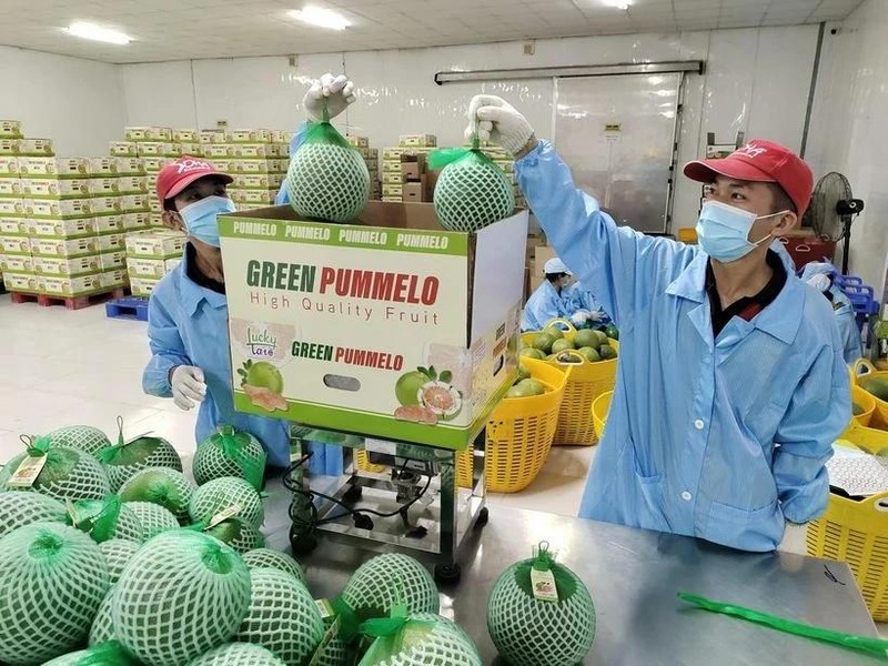 Perspectivas de crecimiento para exportaciones agrícolas de Vietnam en 2025